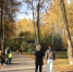 Второе бабье лето может прийти в Нижегородскую область - фото 1 - vGorodeN.Ru