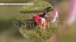 Момент с избиением, попавший на видео