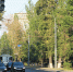 Новый троллейбус «Ольгерд» будет курсировать на нижегородском маршруте № 1 - Время Н