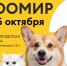 Выставка «Зоомир» пройдет на Нижегородской ярмарке в выходные - Время Н