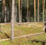 Ольга Тоскина в рубрике #ИхСердцеПреданоЛесу - Министерство лесного хозяйства