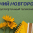 Программа передач телеканала “Нижний Новгород 24” на 5 октября - ГТРК Нижний Новгород