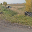 Пятеро взрослых и ребенок пострадали в жутком ДТП в Нижегородской области - фото 1 - vGorodeN.Ru