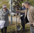 12 семейных пар посадили именные деревья на Аллее золотых юбиляров в Нижнем Новгороде - Газета День города. Нижний Новгород