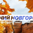 Программа передач телеканала “Нижний Новгород 24” на 7 октября - ГТРК Нижний Новгород