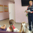 Нижегородские энергетики проводят уроки по электробезопасности в образовательных учреждениях региона - Время Н