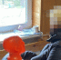 В городе Бор выясняют причины гибели пенсионерки: под подозрением ее же дочь - ProGorodNN.Ru