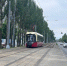 Трамваи №8 приостановят работу в Нижнем Новгороде в выходные - фото 1 - vGorodeN.Ru