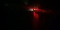 ДТП с пострадавшим случилось в Нижегородской области из-за лося - фото 1 - vGorodeN.Ru