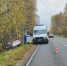 Пожилой мужчина пострадал после съезда в кювет на Бору - Нижегородская правда