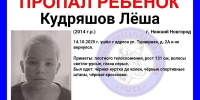 11-летнего мальчика вторые сутки ищут в Нижнем Новгороде - НИА Нижний Новгород