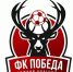 Нижегородцам показали новый логотип первого частного ФК  Победа  - фото 1 - vGorodeN.Ru