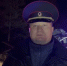 Водитель погиб в массовом ДТП с лосем в Нижегородской области - Комсомольская Правда