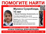 Троих детей потеряли в Нижнем Новгороде и Дальнеконстантиновском районе и не могут найти четвертые сутки