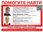 Троих детей потеряли в Нижнем Новгороде и Дальнеконстантиновском районе и не могут найти четвертые сутки