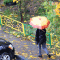 Снега не дождались, подождем еще - Нижегородские новости