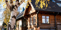 Интернет ускорили в деревне Килелей Богородского района - Комсомольская Правда