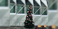 Первую новогоднюю елку установили в Нижнем Новгороде - Комсомольская Правда