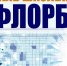 Динамичные матчи и невероятные эмоции: фестиваль школьной лиги по флорболу пройдет в Нижнем Новгороде с 10 по 13 ноября - Администрация г. Нижний Новгород