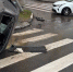 Двое пострадали в ДТП с перевернутой машиной в Нижнем Новгороде - ProGorodNN.Ru