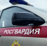 В Нижнем Новгороде и области росгвардейцы пресекли ряд имущественных преступлений - Росгвардия