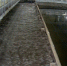 Водоканал в Ворсме оштрафовали за загрязнение воздуха и реки - фото 1 - vGorodeN.Ru