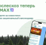 Рослесхоз теперь в MAX! - Министерство лесного хозяйства