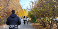 Незнакомцы выманили у нижегородца 800 тысяч рублей, представившись служащими госорганов - ProGorodNN.Ru