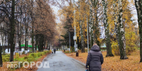 В погоне за богатством нижегородка потеряла квартиру и миллионы - ProGorodNN.Ru