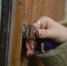 10 иностранцев фиктивно прописала нижегородка в своей комнате общежития - Комсомольская Правда