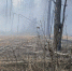 Пожарные ликвидировали открытое горение на нелегальной свалке у Орловских двориков - Сетевое издание Живем в Нижнем