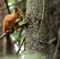 2IMG_6430.JPG - Керженский заповедник