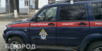 Свалкой на Московском шоссе в Нижнем Новгороде заинтересовался Бастрыкин - ProGorodNN.Ru