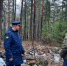 Незаконные постройки и свалку обнаружили в национальном парке в Нижегородской области - ProGorodNN.Ru