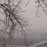 Плюсовая температура установится в Нижнем Новгороде на предстоящей неделе - НИА Нижний Новгород