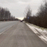 Пятеро взрослых и младенец пострадали в ДТП в Нижегородской области - фото 1 - vGorodeN.Ru