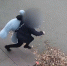Нижегородца могут посадить на 4 года за кражу плюшевого медведя - Комсомольская Правда