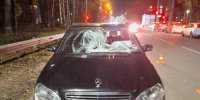 Водитель без прав насмерть сбил ребенка в Московском районе Нижнего Новгорода - Комсомольская Правда