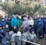 Около 500 кг шишек собрали сотрудники регионального Минлесхоза в Семёновском округе - Министерство лесного хозяйства