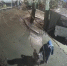 Неизвестный бросил домашнюю собаку около нижегородского приюта - Нижегородская правда