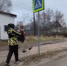 Юноша, который украл картонного мальчика с дороги в Городце, вернул его обратно - Нижегородская правда