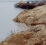 Экологические нарушения в водоохранной зоне реки Волги стали основанием для приостановления деятельность сразу нескольких предприятий Кстовского района Нижнего Новгорода - Росприроднадзор