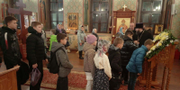 В Борском благочинии состоялся турнир по дзюдо «Кубок Нижегородской епархии» - Нижегородская епархия