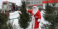 Ёлочные базары начнут работать с 11 декабря в Нижнем Новгороде - Нижегородская правда