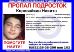 15-летнего пропавшего подростка почти неделю ищут в Нижнем Новгороде
