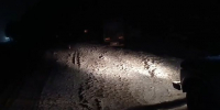 Водитель большегруза пострадал в ДТП в Нижегородской области - фото 1 - vGorodeN.Ru