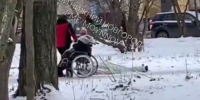 Еще один труп обнаружили на улице в Нижнем Новгороде - фото 1 - vGorodeN.Ru