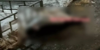 Труп мужчины на льду и смерть главы Реутова в ДТП: главные новости за 13 декабря в Нижнем Новгороде - ProGorodNN.Ru