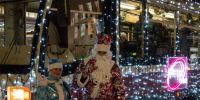 Фото: ООО «Экологические проекты» - Нижегородская правда