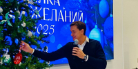 60 нижегородских предприятий приняли участие в акции «Ёлка желаний. Мой бизнес помогает 52» - Правительство Нижегородской области